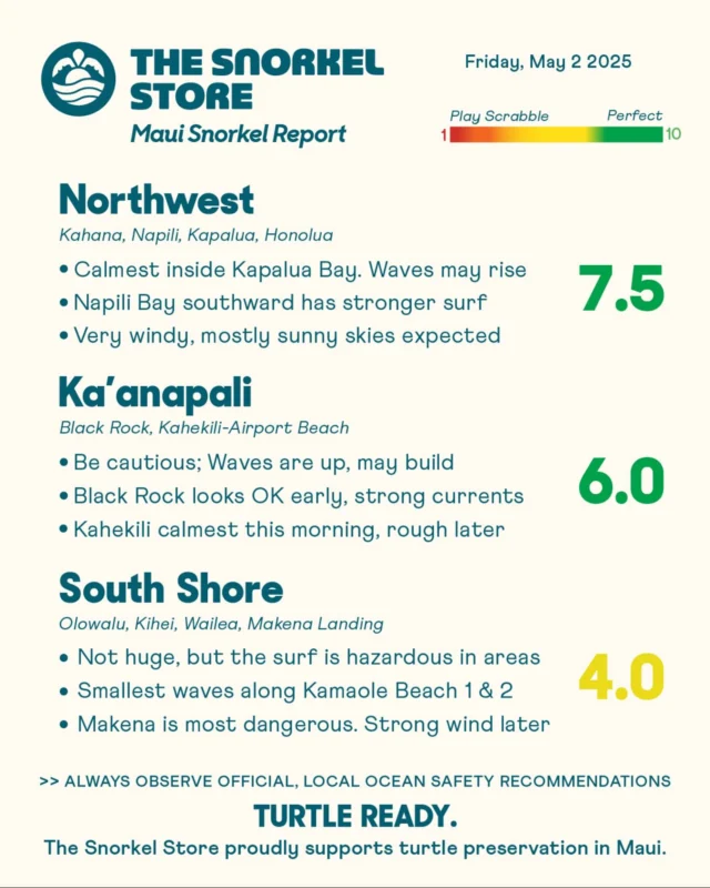 Happy Aloha Friday on Maui! A south swell has brought elevated waves, which may be hazardous in some areas. The Northwest Zone has the calmest water this morning, while the south and Ka’anapali zones are seeing more surf. Keep caution in mind when deciding whether to head out, and check the live cameras in the email report for the latest changes..

Northwest: 7.5

Calm water inside the bays this morning, with the exception of Napili Bay where the surf is up. Kapalua Bay is the calmest option for now, though there’s a chance waves could start spilling in as the tide rises. Winds are strong and creating powerful currents near the points and outside of the bays. Morning clouds are expected to clear as the day goes on.

*Honolua Bay temporarily has no restroom facilities. Please avoid if possible. Do not leave waste in this area.

Ka’anapali: 6.0

Waves are picking up, mostly from Black Rock southward. Surf is pushing towards the rock and currents are strong near the point. Visibility is still clear for now. Kahekili Beach Park is calmer this morning, though shore break is present so use extra caution getting in and out. Afternoon winds are expected to make the water choppy. Should stay mostly sunny.

South Shore: 4.0

Surf is up across much of the zone. While not huge, the waves are powerful in areas and affecting snorkeling. Kamaole Beaches 1 and 2 have smaller waves, but conditions get more challenging as you head south. Makena has the most hazardous waves. Keep caution in mind when assessing conditions. Winds will likely increase this afternoon, making the water choppy despite mostly sunny skies.

#TurtleReady #Maui #Hawaii