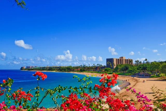 🌺 Happy Mother’s Day from all of us at The Snorkel Store! 🌸

To all the amazing moms who make memories, lead adventures, and fill every beach day with love, mahalo for everything you do!

Wishing you a day as beautiful and relaxing as Maui’s shores. 💕🌊

#MothersDay #Maui #TurtleReady #TheSnorkelStore