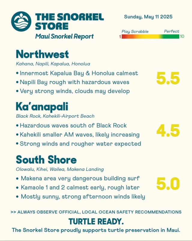 Happy Mother’s Day! We’re sending love and appreciation to all the incredible moms out there today. Strong winds and rising south swell are affecting most spots, and waves are expected to increase through the day. Conditions can change quickly, and it’s always possible things improve. Check the live beach cameras in the emailed report for real-time updates.

Northwest: 5.5

Winds are already strong, and waves are breaking along exposed beaches and points. Kapalua Bay is the calmest spot early on. Honolua Bay is relatively calm as well, but please tread lightly and be respectful if you visit, as it is a sacred and ecologically sensitive area. Napili Bay looks especially rough and hazardous today, with strong waves and currents.

*Honolua Bay temporarily has no restroom facilities. Please avoid if possible. Do not leave waste in this area.

Ka’anapali: 4.5

Waves are breaking hard in front of the Whaler and along the southern stretch. Kahekili Beach has smaller waves early, but conditions are expected to shift quickly with the rising surf. Strong winds will build later today and could lead to choppy water. Stay aware when assessing conditions, and watch for any waves along the shoreline.

South Shore: 5.0

Waves are building, with dangerous surf already in the Makena area. Kamaole 1 and 2 are the calmest spots this morning, though conditions may change as the swell fills in. Currents can increase quickly, especially farther from shore. Mostly sunny skies now, with clouds and strong winds likely later today.

#TurtleReady #Maui #Hawaii