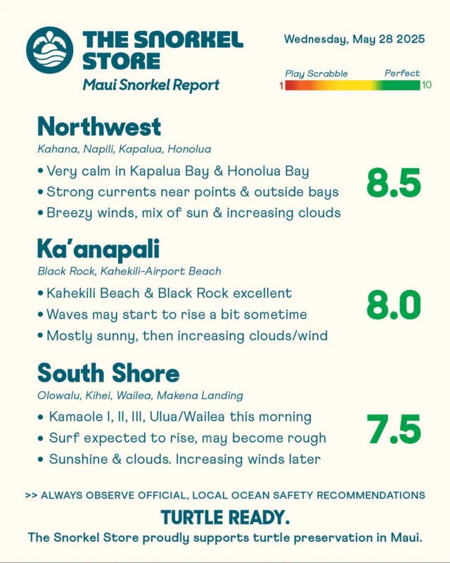A beautiful morning on Maui with superb snorkeling in all three zones. Winds are expected to remain fairly calm, though there’s always a chance they could increase. Conditions can shift quickly, and the surf may pick up a bit as the day goes on. Keep an eye out and enjoy this stunning day!

Northwest: 8.5

Snorkeling conditions are looking really nice and calm inside the bays. Kapalua Bay and Honolua Bay are pretty much crystal clear. As usual, currents become very strong out near the points and outside of the bays where seas are pretty rough. We’re seeing a mix of clouds and sunshine, with strong winds throughout the day.

*Honolua Bay temporarily has no restroom facilities. Do not leave waste in this area.

Ka’anapali: 8.0

Beautiful conditions this morning with small waves and light winds. Kahekili Beach Park (Airport Beach) is particularly nice, though it could become rough later. The south face of Black Rock is also looking fantastic, but currents become very strong near and beyond the point. Mostly sunny with increasing clouds, wind, and a chance for rising surf later.

South Shore: 7.5

This morning, conditions are wonderful, especially along all three Kamaole beaches, Ulua, and Wailea beaches. Makena Landing is also nice, although the waves are already starting to pick up. The surf will probably rise throughout the day, so keep an eye out. Forecasts are showing light winds now, although they could still increase and make the seas pretty rough later.

#TurtleReady #Maui #Hawaii