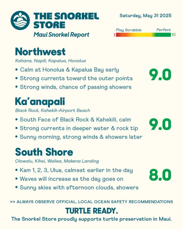 Great snorkeling conditions can be found in all three zones this morning. Conditions may shift as the day goes on, so be sure to check the snapshots below for the latest updates. 

Northwest: 9.0

Kapalua Bay and Honolua Bay are calm and clear this morning with good visibility. Be aware that currents become extremely strong near the outer points. Surf may pick up, so always assess conditions before entering the water. Clouds and scattered showers are also possible later. 

*Honolua Bay temporarily has no restroom facilities. Do not leave waste in this area.

Ka’anapali: 9.0

Kahekili Beach Park has excellent snorkeling this morning with calm, clear water. The south face of Black Rock is also looking good, though currents are already strong near and beyond the point. Waves may rise through the day, so keep an eye on changing conditions. Mostly sunny skies now, with increasing clouds, possible showers, and stronger winds expected this afternoon. 

South Shore: 8.0

Ocean conditions are really nice this morning, especially at the Kamaole Beaches, which are calm and inviting. Waves are already picking up in Wailea and Makena, and both wind and surf are expected to increase throughout the day. If you avoid the waves, it’s still a good time to head out early, as conditions will likely become too rough later. Skies are mostly sunny now, with clouds and a chance of showers possible this afternoon.