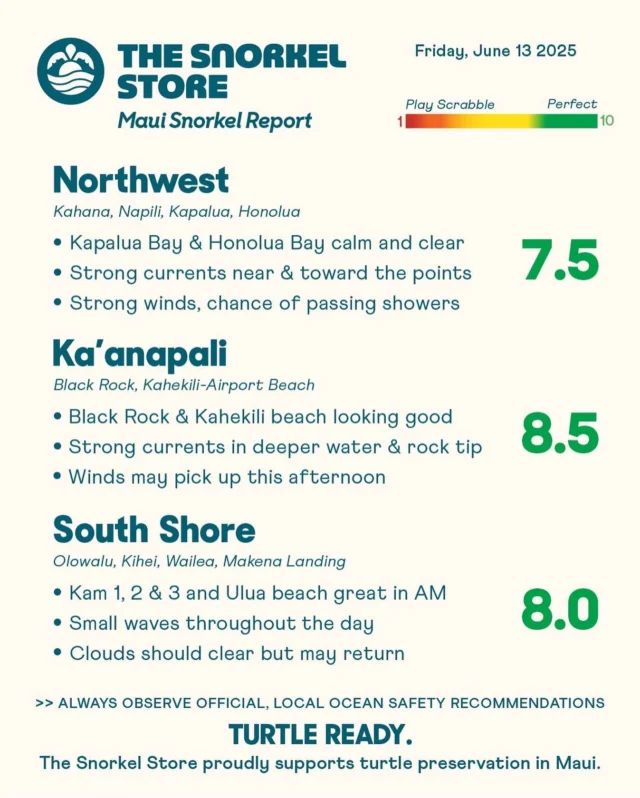 Happy Aloha Friday! Maui’s conditions this morning are looking beautiful, with clear visibility and small waves across all three zones. While there may be some scattered showers and clouds this morning, it should clear. Winds could create choppier waters later in the afternoon.

Northwest: 7.5

Snorkeling conditions this morning are calm within the bays, with Honolua Bay and Kapalua Bay particularly clear and inviting. However, it’s important to exercise caution, as currents can be very strong near the points and outside the bays. Scattered showers are moving through the area, and strong winds are anticipated later in the day.

*Honolua Bay temporarily has no restroom facilities. Do not leave waste in this area.

Ka’anapali: 8.5

This morning offers excellent snorkeling conditions with small waves. The south face of Black Rock is particularly inviting and should stay calm all day. Kahekili Beach is also looking good early on with clear visibility. Currents will be stronger in deeper water. As the afternoon approaches, winds may pick up, causing conditions to become choppier in some areas.

South Shore: 8.0

Kamaole Beaches 1, 2, and 3, along with Ulua Beach, are calm and clear this morning, providing excellent snorkeling opportunities. However, winds may pick up this afternoon, which could create choppy waves and reduce visibility. The morning is the best time to enjoy the nicest conditions. While the clouds are expected to clear, there is a chance they could return later in the day.