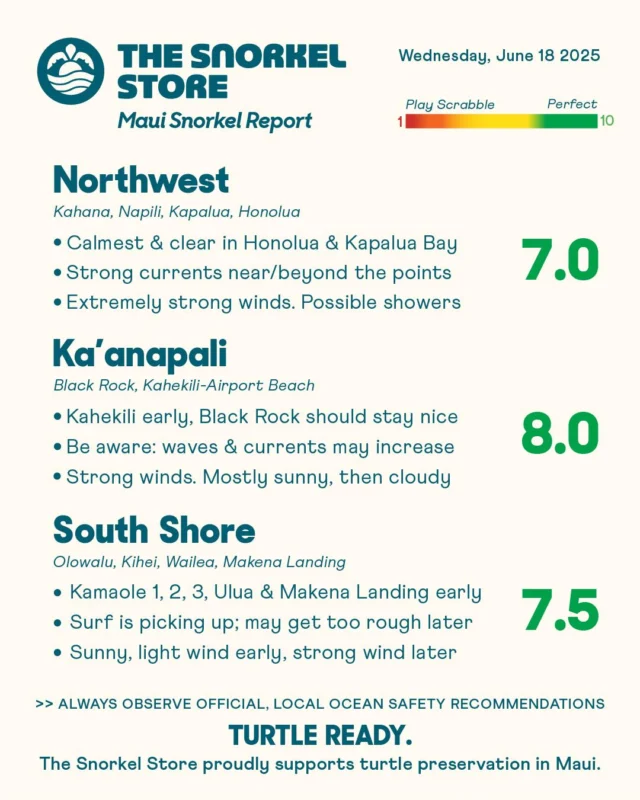 Maui is offering really nice snorkeling in certain areas of each zone this morning. Strong winds will persist and the surf could pick up later. See details below and check the live cameras on the emailed report.

Northwest: 7.0

Inside Honolua Bay and Kapalua Bay, the ocean is calm and inviting this morning. Currents become very strong out near and beyond the points, especially with today’s extremely strong winds. Surf has picked up slightly in Napili Bay, and scattered showers with lingering clouds are likely as the day goes on.

*Honolua Bay temporarily has no restroom facilities. Do not leave waste in this area.

Ka’anapali: 8.0

Kahekili Beach Park (Airport Beach) and Black Rock are starting off with great conditions. Kahekili will likely become too rough as winds become very strong. The south face of Black Rock should stay more protected, though currents are strong near and beyond the point. Mostly sunny, with some clouds expected to move in.

South Shore: 7.5

It’s a stunning morning with light wind and sunshine. Kamaole 1, 2, and 3 are all looking good, and Ulua Beach down to Makena Landing is off to a solid start. Some waves are breaking on the shoreline, but they can be avoided with care. Surf is expected to rise, and strengthening winds will likely make the ocean rough later. Come see us at our Kihei location and then hit the beach!

#TurtleReady #Maui #Hawaii