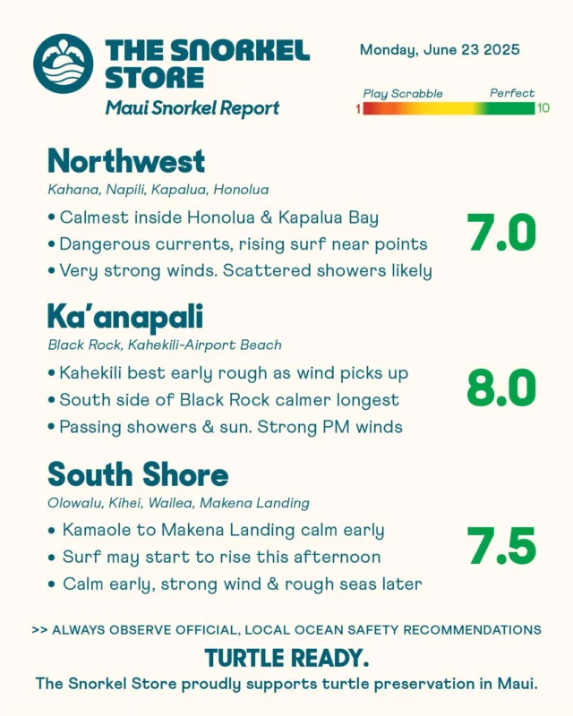 Maui is starting the day with a mix of sunshine and passing clouds. Some areas are calm and inviting early on, while others are already feeling strong wind. There’s great snorkeling to be found this morning.. Conditions are expected to shift later with increasing wind and rising surf.

Comment "REPORT" for live cams, free parking and more!

Northwest: 7.0

Winds are extremely strong already, and there’s a good chance of scattered showers through midday. Honolua Bay and Kapalua Bay are calm and it should stay nice inside the bays. Currents are strong dangerous near the points and outside the bays, where waves are also starting to pick up.

*Honolua Bay temporarily has no restroom facilities. Do not leave waste in this area.

Ka’anapali: 8.0

Snorkeling is looking great this morning at both Kahekili Beach Park and the south face of Black Rock. Winds are expected to become strong later, which will likely make Kahekili rough. The south side of Black Rock should stay more protected, but be careful not to venture too far, as currents are very strong. A few scattered showers are possible, though not much rain is expected.

South Shore: 7.5

Snorkeling is fantastic this morning from the Kamaole Beaches down through Ulua and Makena Landing, with mostly calm water and light surf. Conditions will shift as increasing winds may make the ocean rough and choppy maybe before noon. Surf is also expected to rise later in the day. Sunshine should stick around for most of the day.

#TurtleReady #Maui #Hawaii