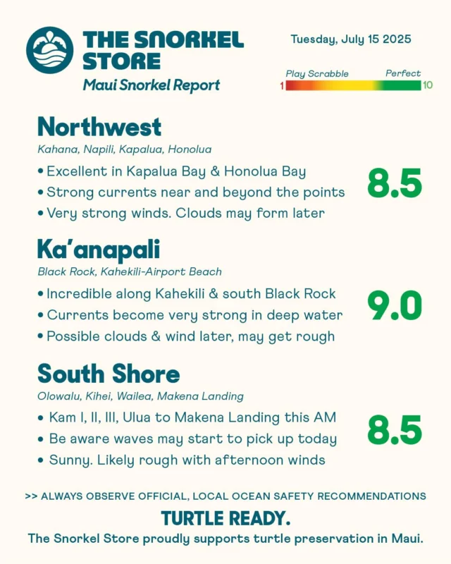 Amazing day for snorkeling on Maui. All three zones have areas of excellence. A small south swell may bring increasing waves, please stay aware of changes. Breezy winds are expected this afternoon, which could make things rough in some areas.

Comment "REPORT" for live cams, free parking and more! 

Northwest: 8.5

Snorkeling is excellent inside the bays. Kapalua Bay and Honolua Bay are calm, clear, and offering some of the best visibility around. Conditions should stay steady through most of the day, though strong winds may keep clouds overhead. Please be cautious not to swim out too far, as currents become extremely strong near and beyond the points.

*Honolua Bay temporarily has no restroom facilities. Do not leave waste in this area.

Ka’anapali: 9.0

Wonderful conditions along Kahekili Beach Park, with calm, clear water and light wind this morning. Visibility is excellent, though currents are strong in deeper water. The south face of Black Rock is also super clear, though currents become strong near and beyond the point. Afternoon winds may bring clouds and rougher water later today.

South Shore: 8.5

Gorgeous day with sunshine and light wind this morning. Kamaole I, II, and III, along with Ulua Beach, Wailea Beach, and Makena Landing, are great options. Waves could start to pick up, and winds are expected to return, which could make things too rough. It’s the perfect day to stop by The Snorkel Store then head across the street to Kamaole I.

#TurtleReady #Maui #Hawaii