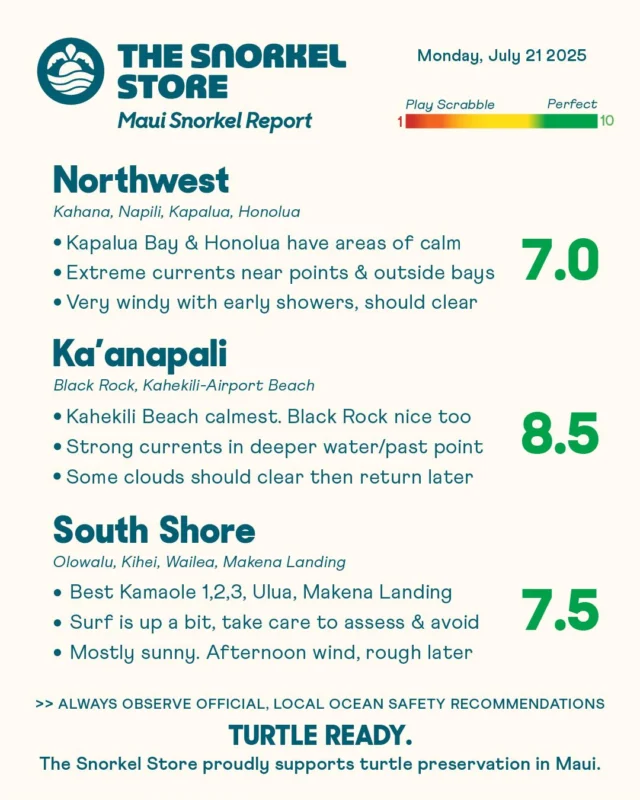 Maui is starting the week with a mix of clouds, some surf, and calm water in certain areas. Scattered showers are passing through, but things should clear up as the day goes on.

Comment "REPORT" for live beach cams, free parking and more!

Northwest: 7.0

It’s extremely windy this morning, with scattered showers moving through. If conditions clear up later, Kapalua Bay and Honolua Bay should offer the calm, clear water. Be cautious though, the surf has picked up slightly, and currents are becoming extremely strong near the point and outside the bays. Conditions are rough outside of the bays

Ka’anapali: 8.5

Light wind and relatively small waves are making for great snorkeling this morning. Kahekili Beach Park is especially nice early on, with calm, clear water. The south face of Black Rock is also looking good, though there’s a bit more movement in the water and strong currents near the point. Scattered showers are possible, but skies could clear up later.

South Shore: 7.5

Some light surf is still breaking in areas. The Kamaole beaches have the calmest water, while Wailea is a little rough early but should improve soon. Makena Landing should also be good, just keep an eye out and avoid any waves. Clouds this morning should clear up, but stronger winds later will likely make conditions rough.

#TurtleReady #Maui #Hawaii