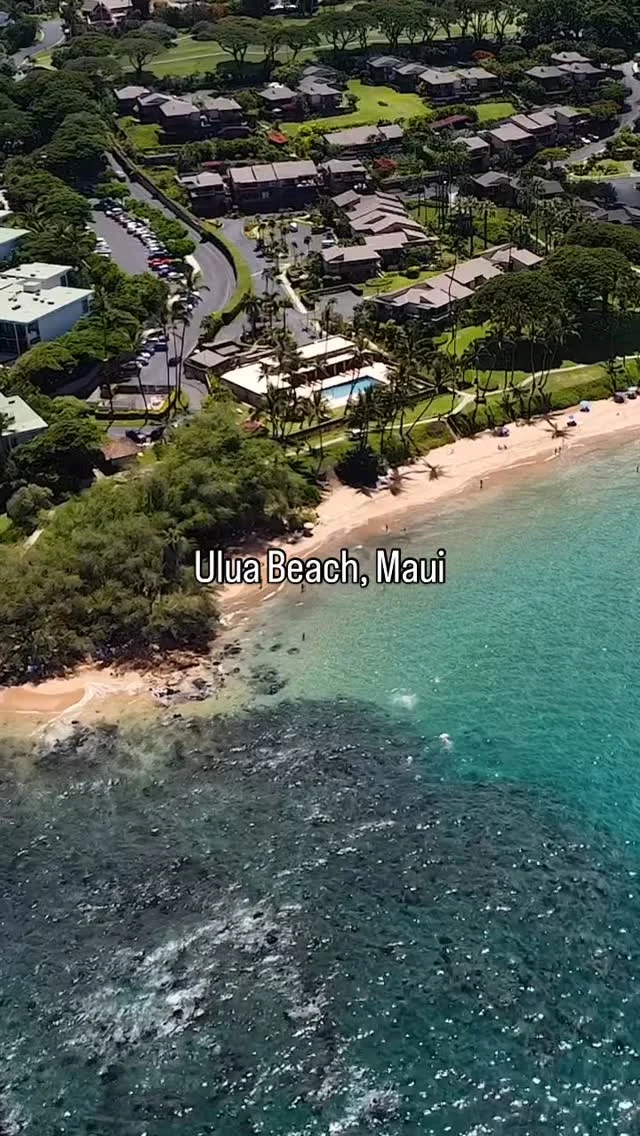 Ulua Beach hits different 🤩

Great views, wonderful snorkeling, and plenty of sunshine ☀️

What is your favorite part about Ulua Beach? 🏖️ 

#maui #turtleready #hawaii #uluabeach #ulua